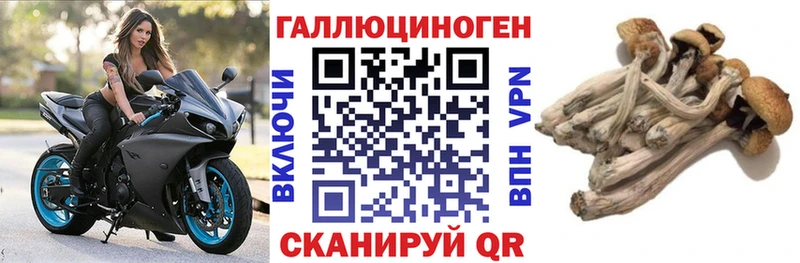 Галлюциногенные грибы ЛСД  Большой Камень 