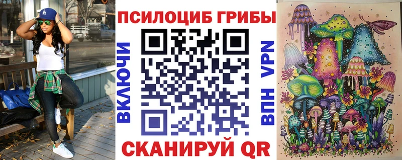 Псилоцибиновые грибы Cubensis Большой Камень
