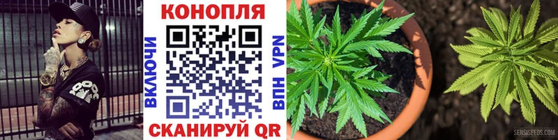 купить наркотик  Большой Камень  Каннабис марихуана 